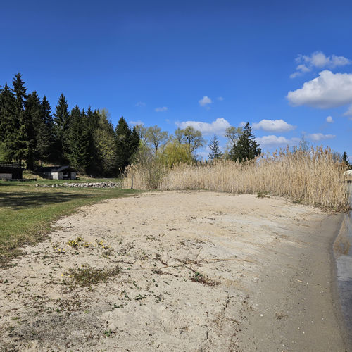 Plaża po zimie, przed wiosennym sprzątaniem